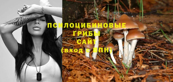 прущая мука Нягань