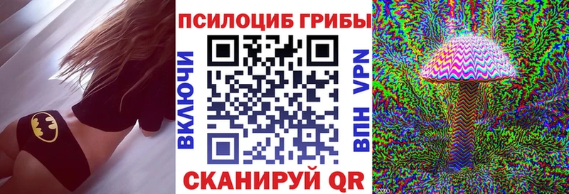 Галлюциногенные грибы Psilocybe  Правдинск 
